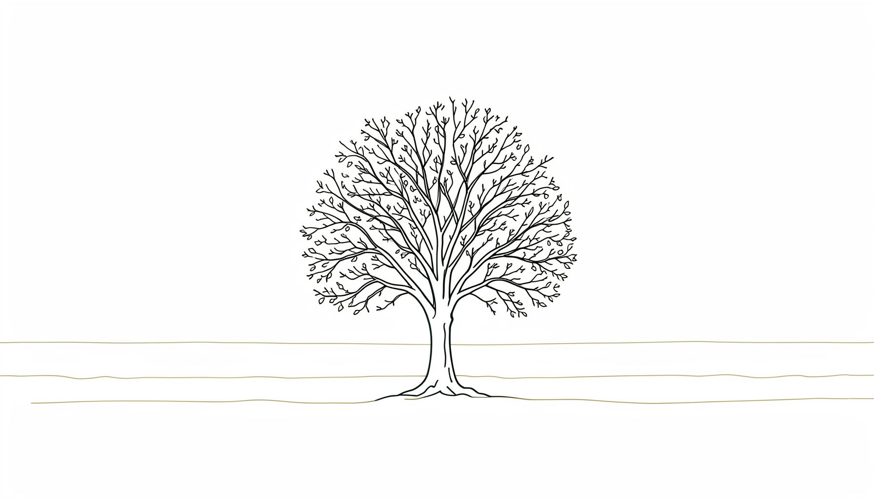 Solitary tree against a dusk horizon